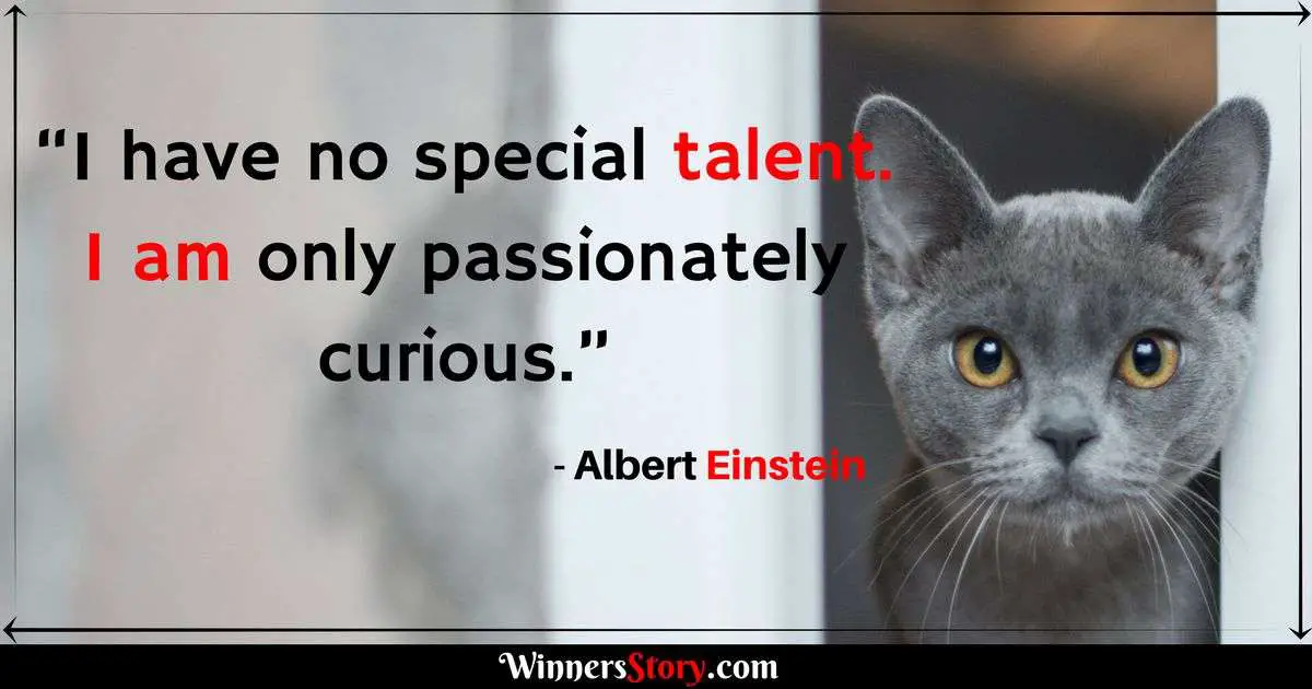 Albert Einstein quotes on Education_I have no special talent. I am only passionately curious.